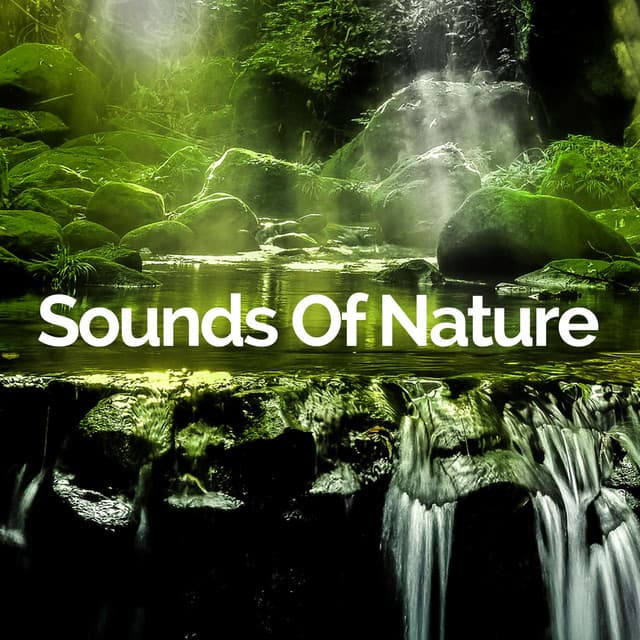 Sounds Of Nature