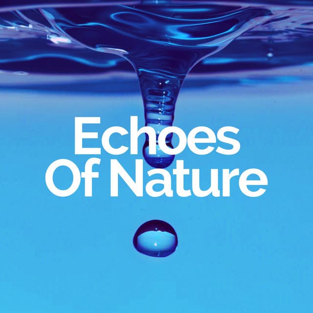 Echoes Of Nature