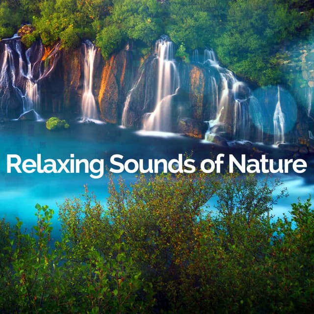 Relaxing Sounds Of Nature