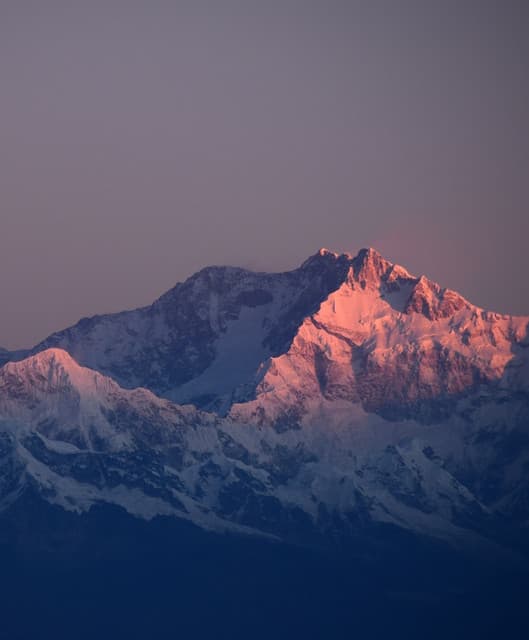 Chill Now Collective