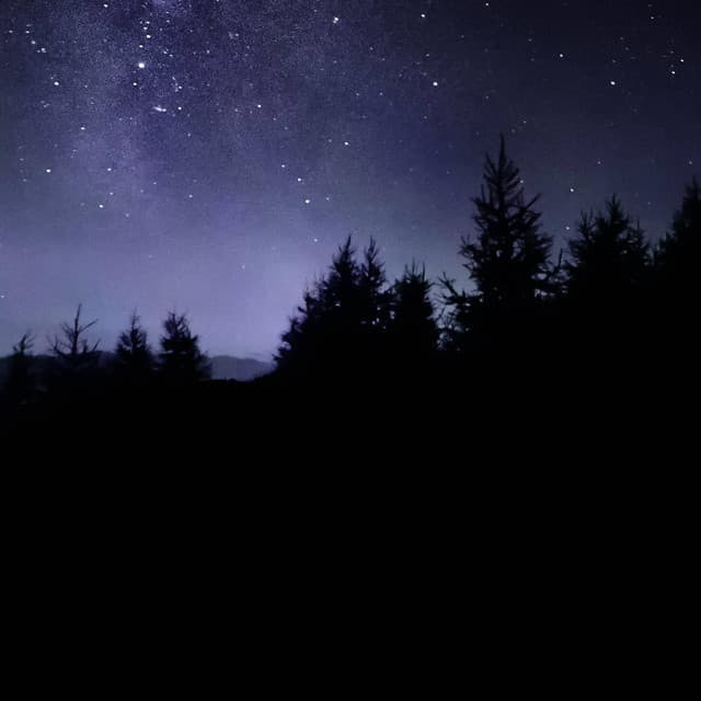 Music For Absolute Sleep