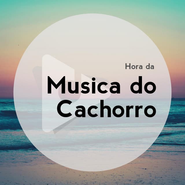 Hora da Música do Cachorro