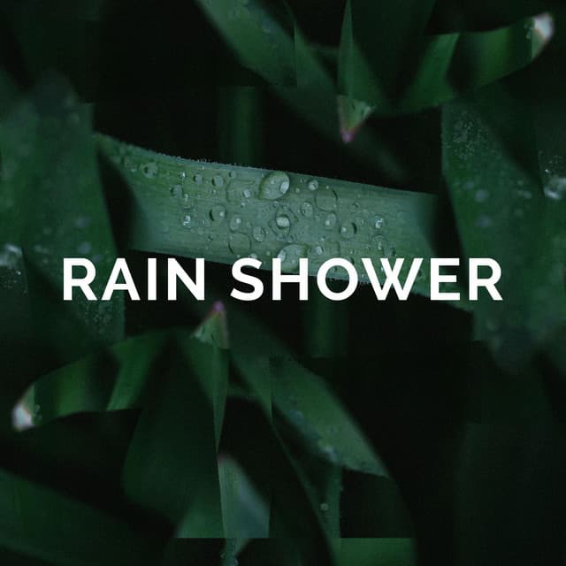 Rain Shower