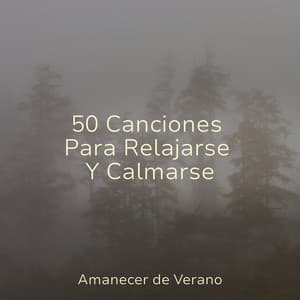 50 Canciones Para Relajarse Y Calmarse - Massage Therapy Music