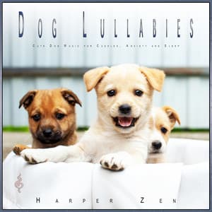 Dog Lullabies: Cute Dog Music for Cuddles, Anxiety and Sleep - Dog Music Experience