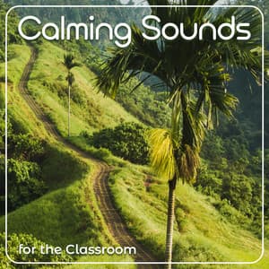 Calming Sounds for the Classroom - Mindfullness Kids