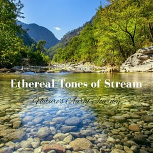 Ethereal Tones of Stream: Nature's Aural Journey - Natural Woodland Sound
