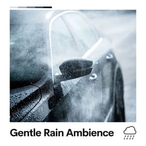 Gentle Rain Ambience - The Sound Of The Rain