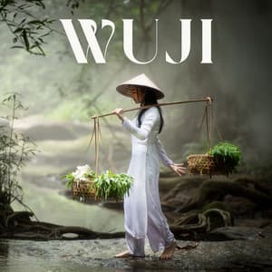 Wuji: The Infinite, Reiki Music, Stop Overthinking - Wonderful World Crew