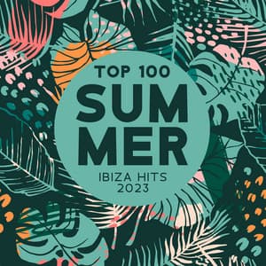 Top 100 Summer Ibiza Hits 2023 - DJ Del Mar