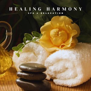 Healing Harmony: Background Massage Music - Spa & Relaxation