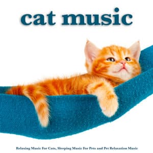 Cat Music: Relaxing Music For Cats, Sleeping Music For Pets and Pet Relaxation Music - Cat Music