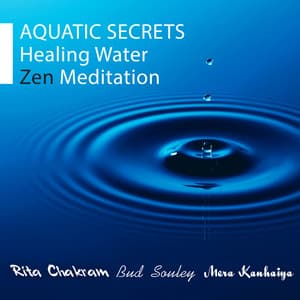 Aquatic Secrets: Healing Water Zen Meditation - Bud Souley
