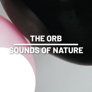 The Orb - Sounds Of Nature