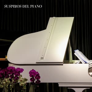 Suspiros del Piano - Relajante Música de Piano Oasis