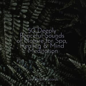 50 Deeply Peaceful Sounds of Nature for Spa, Healing & Mind Meditation - Musica de Relajación Academy