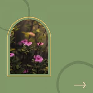 Mindfulness - Background Music - Spa Music Playlist