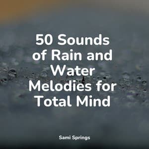 50 Sounds of Rain and Water Melodies for Total Mind - Lluvia PQ