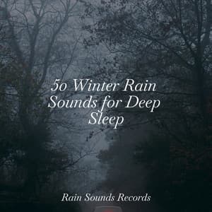 50 Winter Rain Sounds for Deep Sleep - Rain Sound Studio
