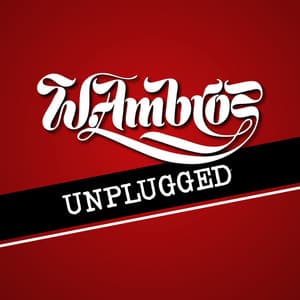 Unplugged - Wolfgang Ambros