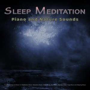 Sleep Meditation: Piano and Nature Sounds, Bird Sounds, Forest Sounds and Music For Meditation Music, Relaxation Music, Sleep Music, Spa Music, Massage Music, Yoga Music and Sleeping Music - Sleep