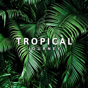 Tropical Journey: Nature Sounds for Relaxing Evening in Exotic Kingdom - Relaxing Evening Music Universe