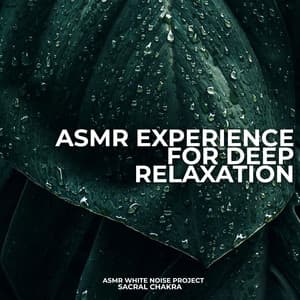 A.S.M.R Experience for Deep Relaxation - ASMR White Noise Project
