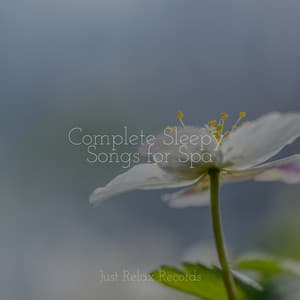 Complete Sleepy Songs for Spa - Nature Sounds Nature Music