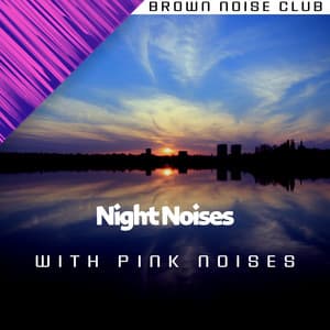Nature Sounds: Night Noises with Pink Noises, Loopable - Sleep Crickets