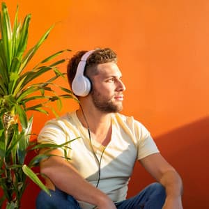 Armonía Lofi: Capas Musicales Suaves - Terrícola