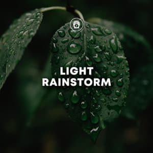 Light Rainstorm - Sounds Of Nature