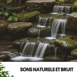 Sons Naturels et Bruit : Symphonie de Sérénité - Ruido Blanco Hart