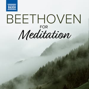 Beethoven For Meditation - Ludwig van Beethoven