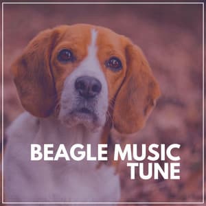 Beagle Music Tune - Puppy Music