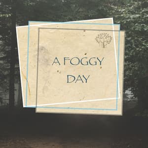 A Foggy Day - Mother Nature FX