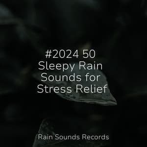 #2024 50 Sleepy Rain Sounds for Stress Relief - Sons da natureza HD