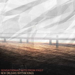 Sensational Hits from Past - New Orleans Rhythm Kings