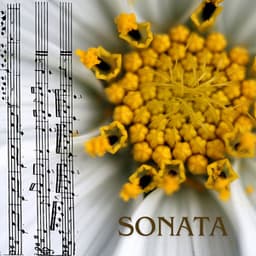 Sonata