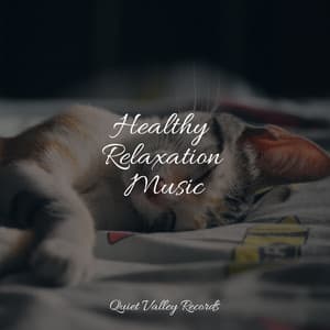 Healthy Relaxation Music - Nature and Rain
