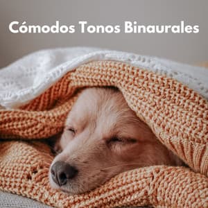 Cómodos Tonos Binaurales Para Calmar A Las Mascotas - Universo De Latidos Binaurales