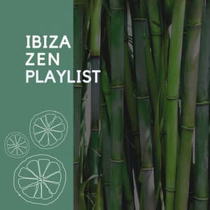 Ibiza Zen Playlist - Palm Analogue