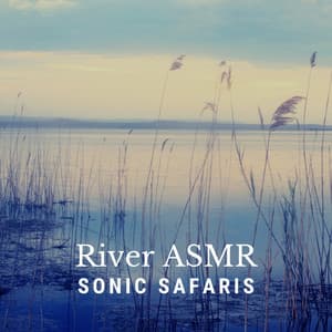 River ASMR: Sonic Safaris - Water Science
