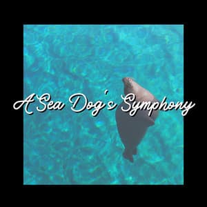 A Sea Dog's Symphony - Ocean Sounds Spa