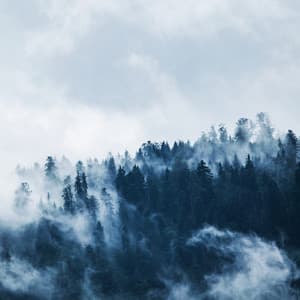 50 Relaxing Songs for Deep Relaxation - Rain Sounds & Nature Sounds