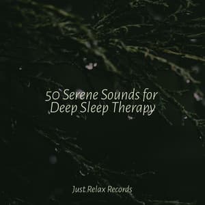 50 Serene Sounds for Deep Sleep Therapy - Kinderliederbande
