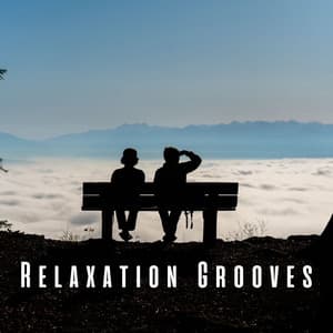 Relaxation Grooves: Peaceful Lofi with Chill Music - HIP-HOP LOFI