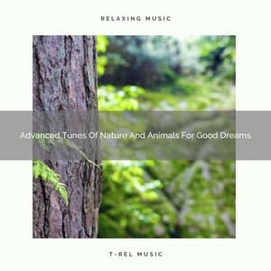Advanced Tunes Of Nature And Animals For Good Dreams - Aquagirl