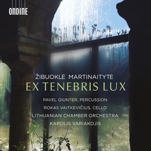 Žibuoklė Martinaitytė: Ex tenebris lux - Žibuoklė Martinaitytė
