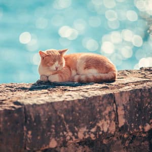 Ocean Whiskers Dreams: Soothing Waves for Restful Cat Sleep with Ambient Music - Calming Music for Cats