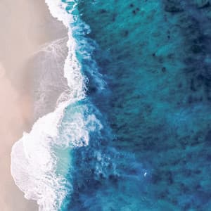 10 AM Wellness: Tide High - Ocean Sounds